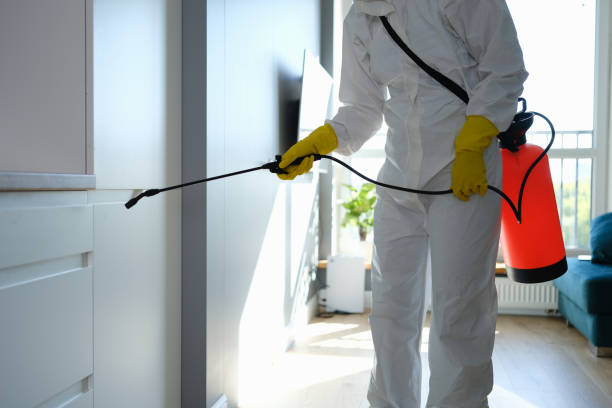Best Mold Cleaning Services  in Five Forks, SC