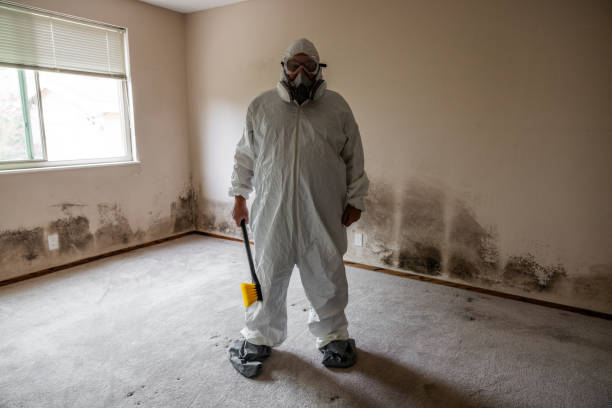 Mold Testing and Removal in Five Forks, SC
